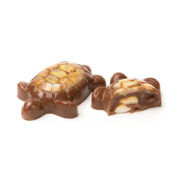 yellow turtle cashew truffle