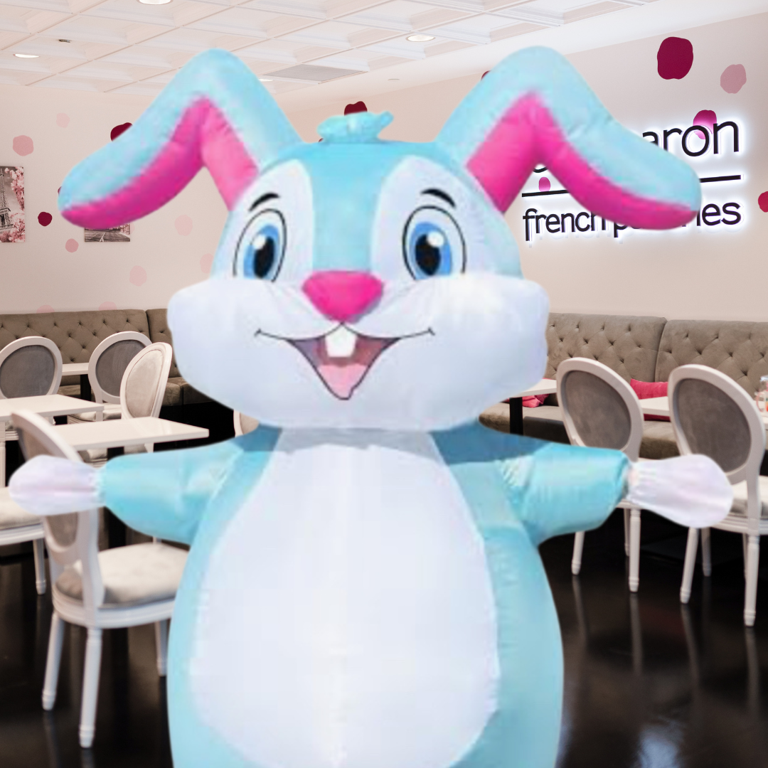 the easter bunny will visit le macaron fishers on March 23, March 24, and March 30 from 12 until 3 pm. Fishers, Indiana easter activity
