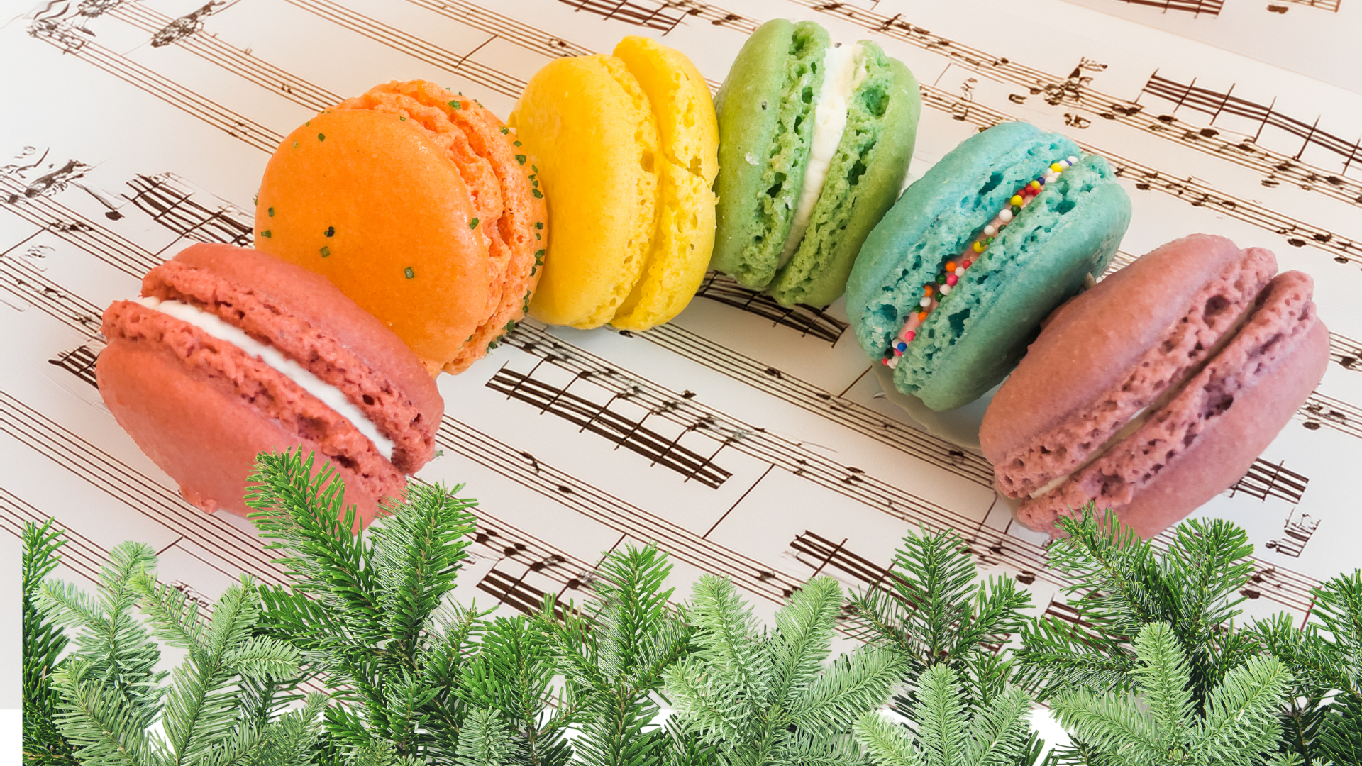 free live holiday music at le macaron fishers in fishers indiana