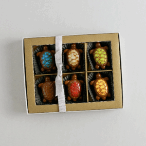 Turtle Collection Box of 6